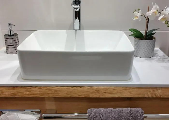 Luna Incl Summercard Zell Am Apartment *